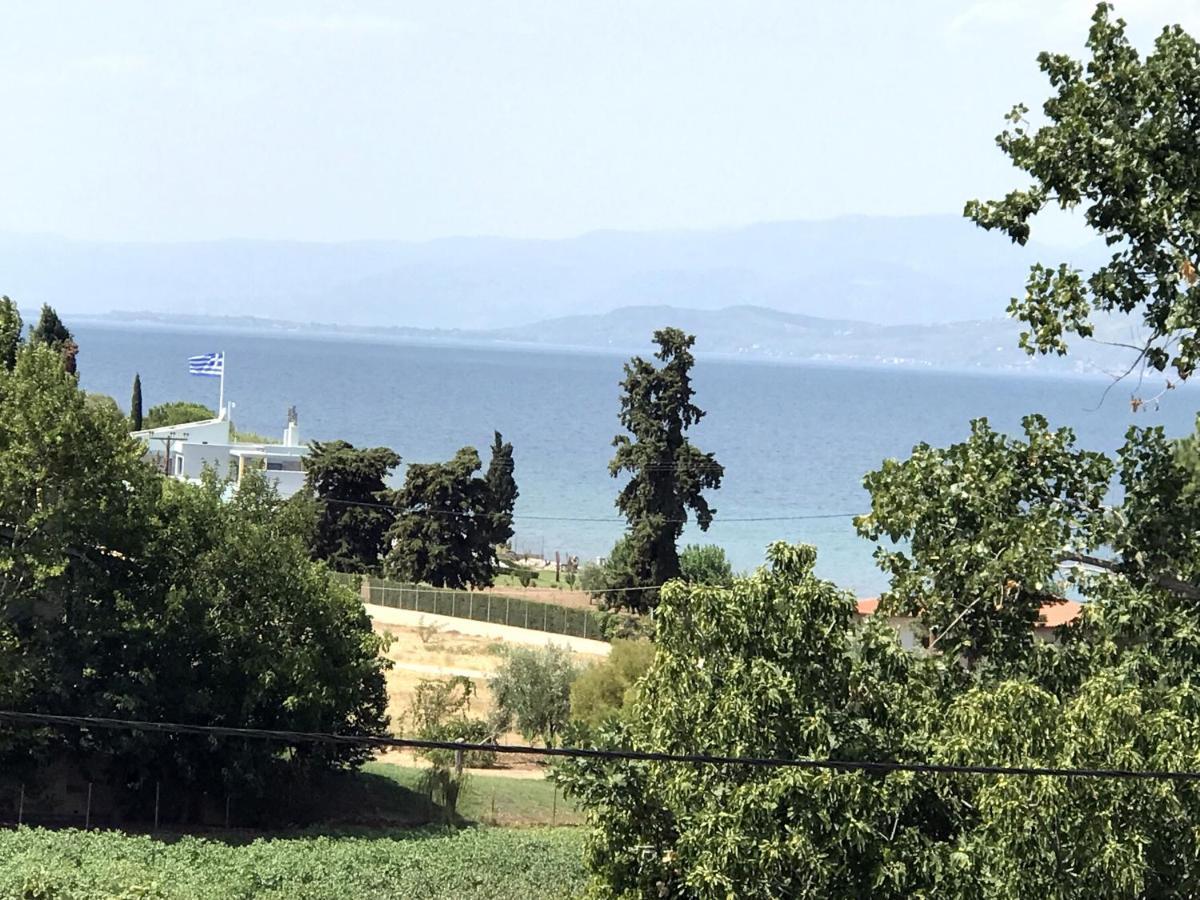Studio Kalypso Arkitsa Bagian luar foto