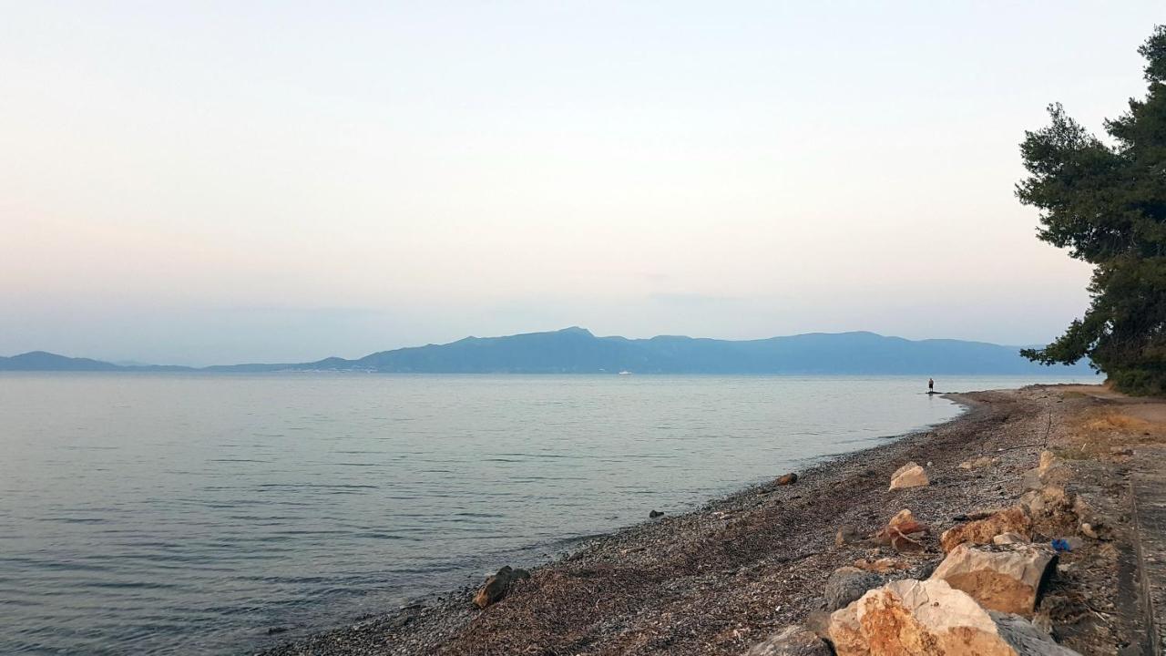 Studio Kalypso Arkitsa Bagian luar foto