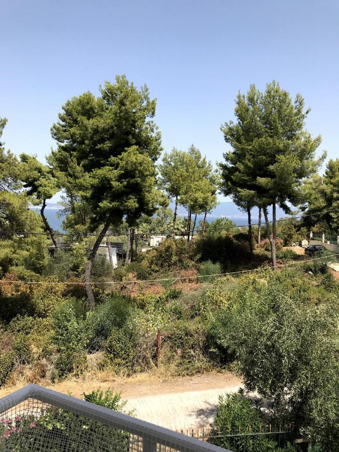 Studio Kalypso Arkitsa Bagian luar foto